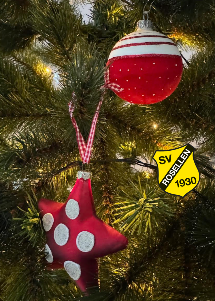 frohe weihnachten 2025